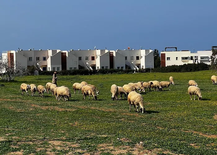 True Frontline In Tatlisu North Cyprus *