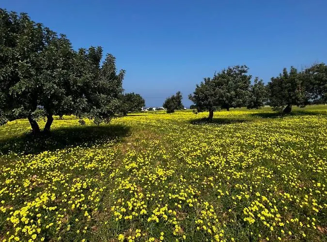 True Frontline In Tatlisu North Cyprus アパート *