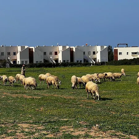 True Front Line In Tatlisu North Cyprus *