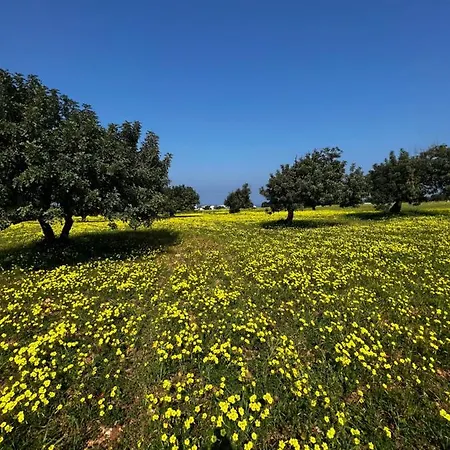 True Front Line In Tatlisu North Cyprus Apartment *